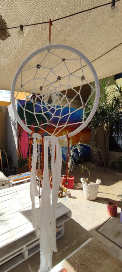 Cho Ku Rei Hostal San Jose del Cabo Bagian luar foto