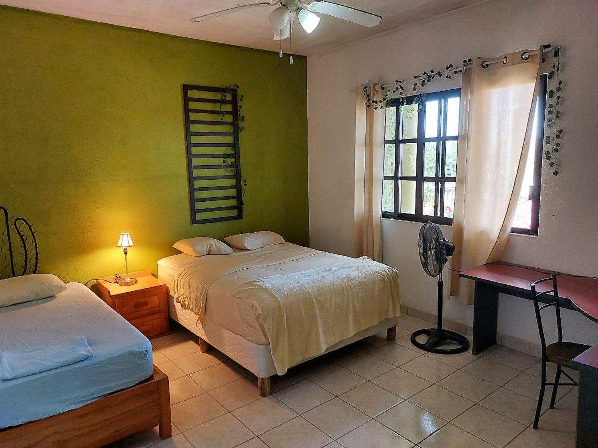 Cho Ku Rei Hostal San Jose del Cabo Bagian luar foto